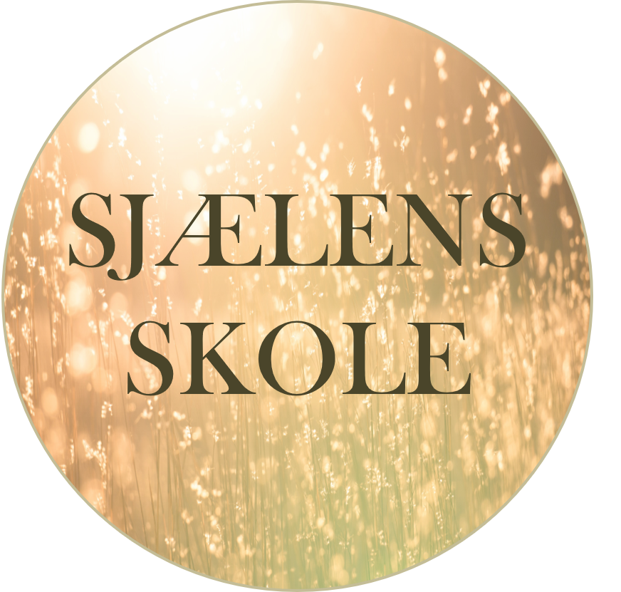 Sjælens Skole Logo